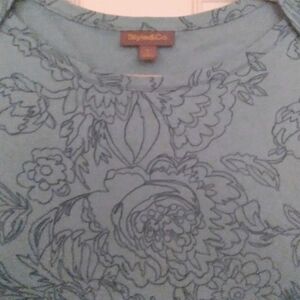 Style and Co Pima Cotton Blue Green Floral Spring Top Cottagecore Prairie‎ XL
